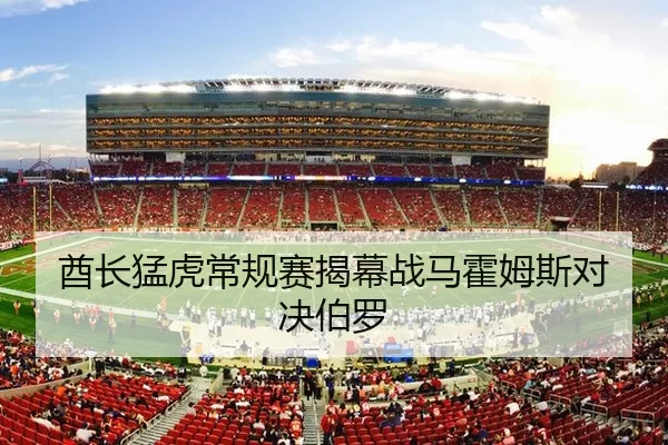 酋长猛虎常规赛揭幕战马霍姆斯对决伯罗