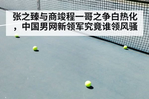 张之臻与商竣程一哥之争白热化,中国男网新领军究竟谁领风骚