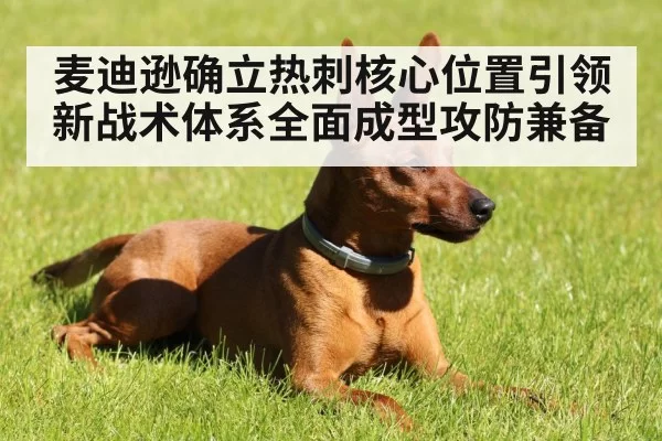 麦迪逊确立热刺核心位置引领新战术体系全面成型攻防兼备